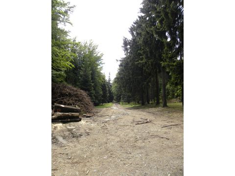 Foto 48